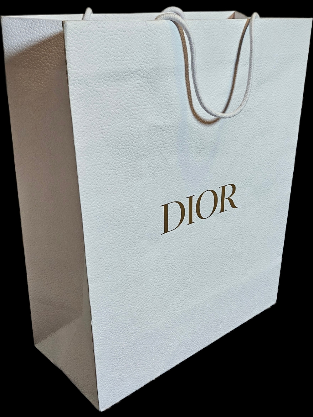 NEW Dior XL Large White Gold Logo Boutique Shopping Gift Bag Book Tote Packaging